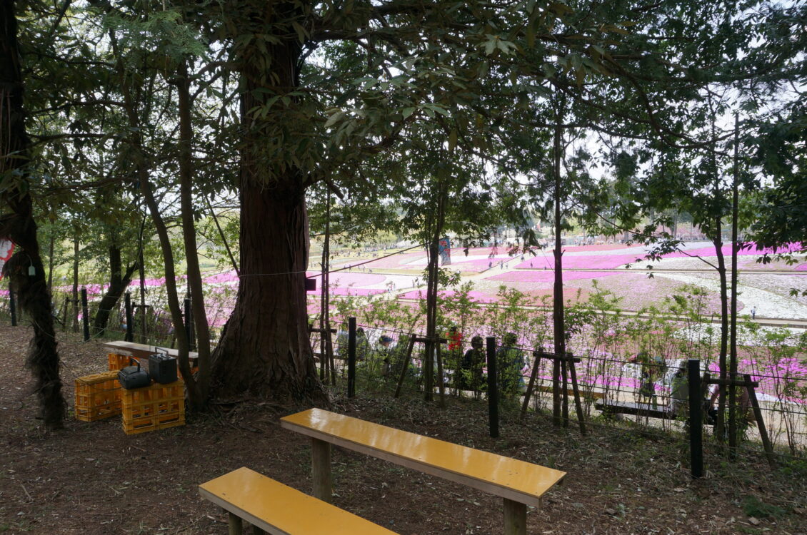 芝桜休憩所