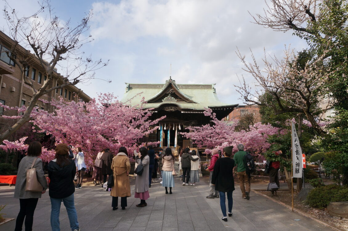 桜神宮２
