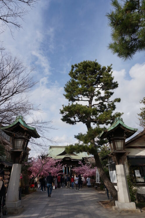 桜神宮３